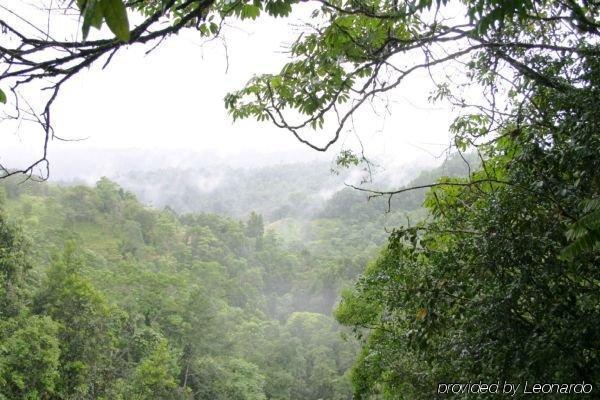 The Canopy Rainforest Treehouses & Wildlife Sanctuary Tarzali Exterior photo